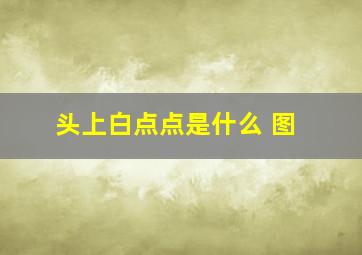 头上白点点是什么 图